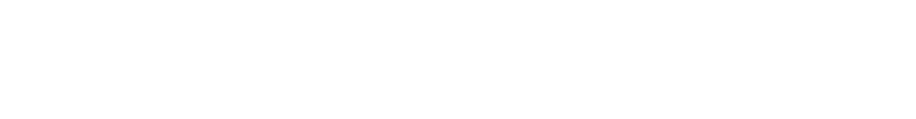 Pro Service - OG Logo white
